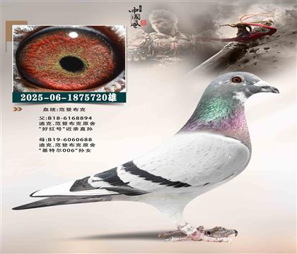 ���ǲ��ˣ��ú��ֱ��x���ض�006��Ů720