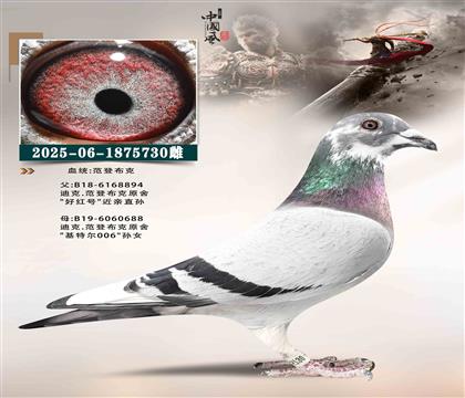 ���ǲ��ˣ��ú��ֱ��x���ض�006��Ů730