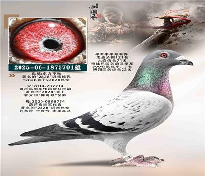 ��������701