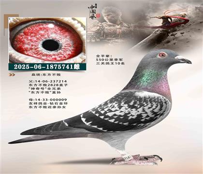 ��������741