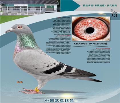 ղɭ251ֱ��326X766ֱŮ848