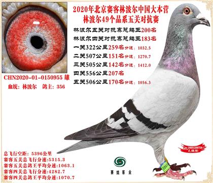 20�ֲ�����������ֱ��Ӵ�21����12��24����21��