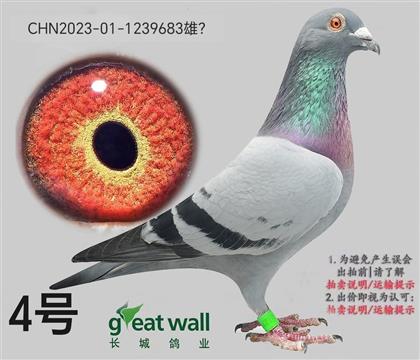 ���ǣ�����683