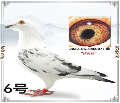 ���������Է077