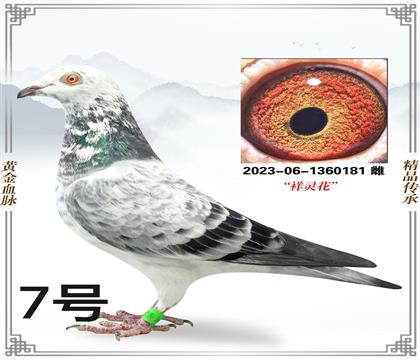 ���������Է181