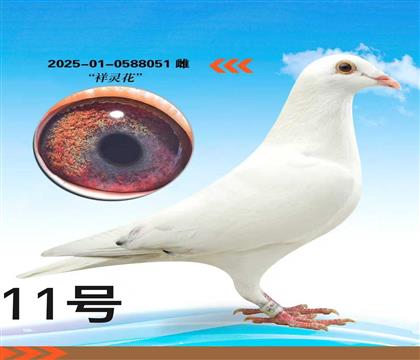 �������黨��Ѫ����236