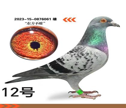 ��������061