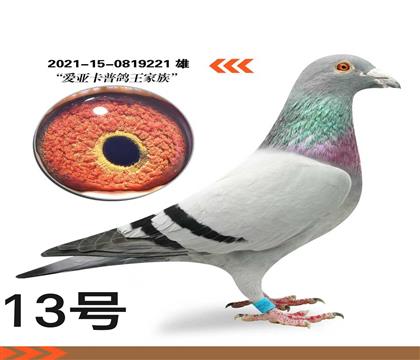 �������ǿ������������������