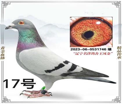 ���������������-������������