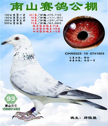 500�������93��