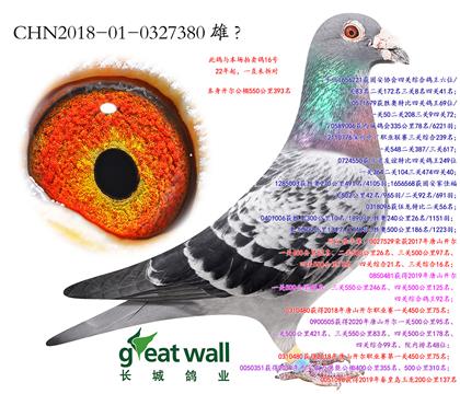 17.���������˻ƽ�����Ӵ�.0327380