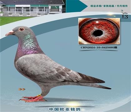 ղɭԭ�ᡰ�����š�131XֱŮ653