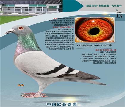 �Ǳ�ԭ��ʼһ�ֱ��437X�ʼһ�ֱŮ461