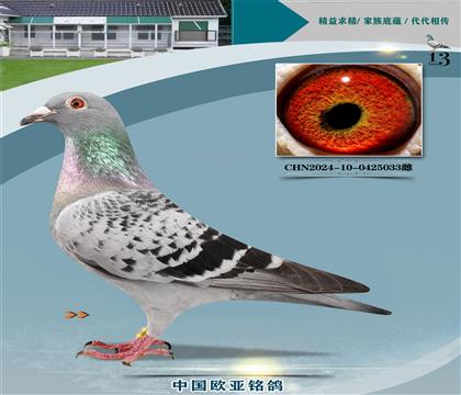 ��.����˹ԭ�ᡰ������638X��������367