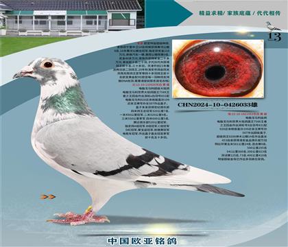 ���Գ����ֹ�926X��ĸ453