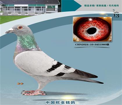 ����ԭ��024XŷԪ���029