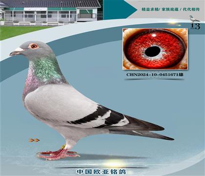 ·��˹����Ѫͳ996X777ͬ����ĸ����