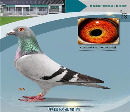 ����ԭ��024XŷԪ���029