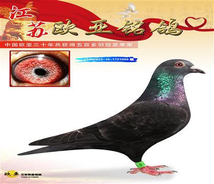 ��˹ɣ��ʿ��ɫ�쳵688X008