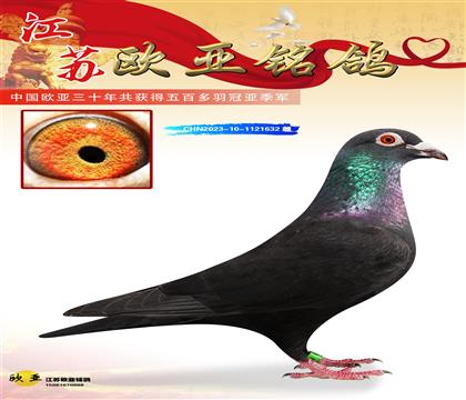 ��˹ɣ��ʿ��ɫ�쳵688X008