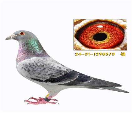 ���ض�006ֱ��Ů����570