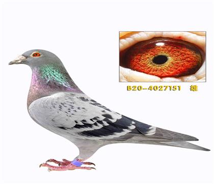 ���׵Ϸ����ֵ�151