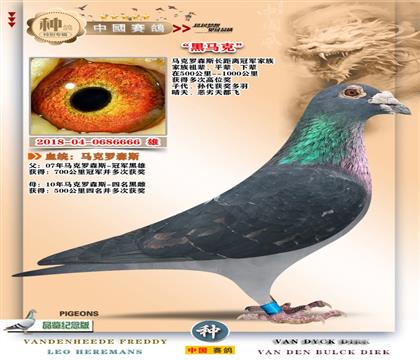 1-������ɭ˹-������6666