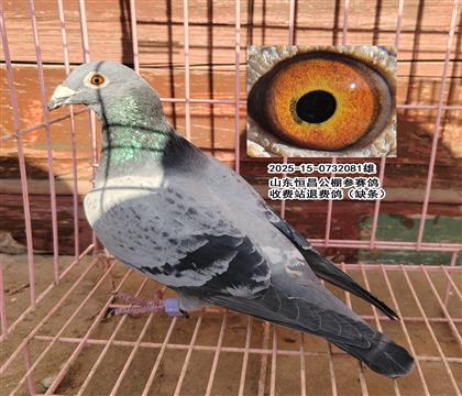 ɽ�������������룬�շ�վ�˷Ѹ루ȱ��)