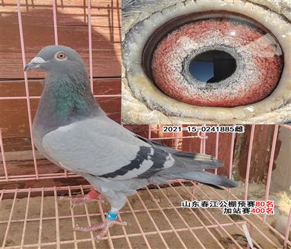 ɽ����������Ԥ��80������վ��400��