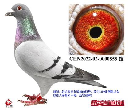 ���Ҽ�����ߴ��ָ�