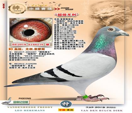 2-��������˹