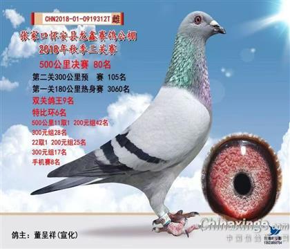 �������80����˫�ظ���9��