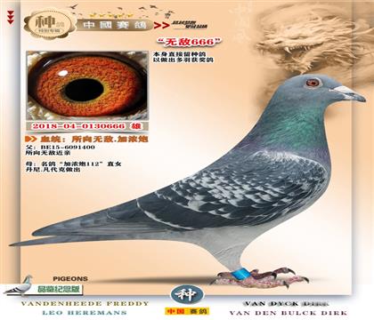 3-�����޵�+��Ũ��