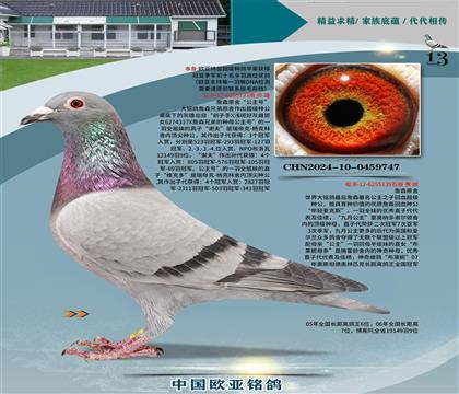 ղɭԭ�ᡰ�����š�131X�����¹�����139