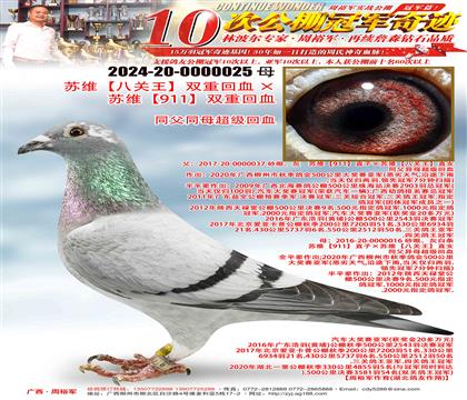 ��ά��911��˫�ػ�Ѫ����ά���˹�����˫�ػ�Ѫ