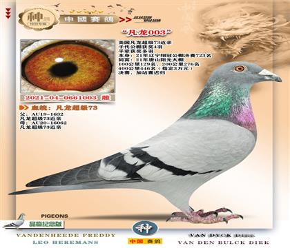 6-��������ĸֱŮ+���ｱ��