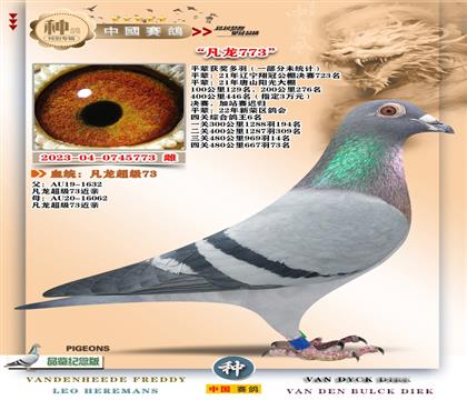 8-��������73ֱŮ