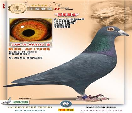 9-������ɭ˹-����ھ�