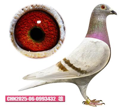 ������-������432