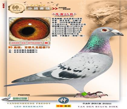 10-��ά����73+����25��