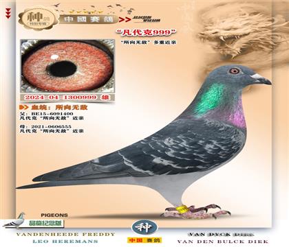 12-�����޵н���999