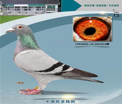 ���Ը�����097X����777