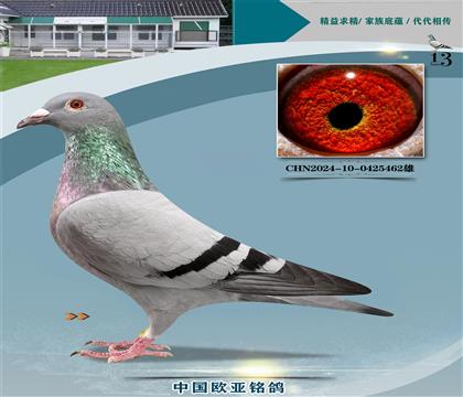 �Ͽ˷��ǲ���ԭ���漣��362X40000��435