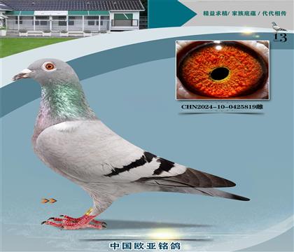 �Ǳ�ԭ��³��ֱ��183X³��ֱŮ199