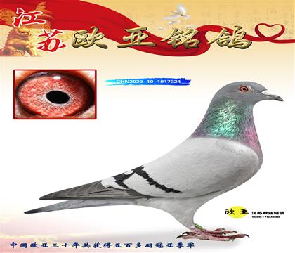 ����041Xɣ��ʿ006