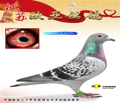 ����ԭ��������855X�Ͽ�������������019