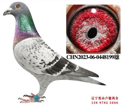 ������ֲ�500����200�������־��ܽ�ͷ199