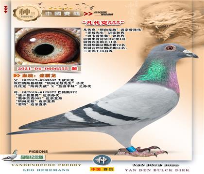 13-�����޵н���555