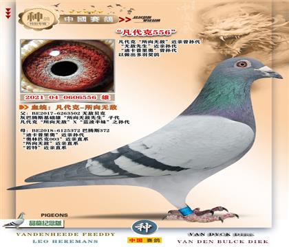 15-�����޵н���556