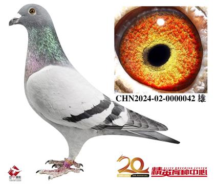 ŷ�����׵�ԭ�Ḹ�׸����ھ����۸룩